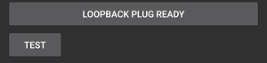 loopback plug test