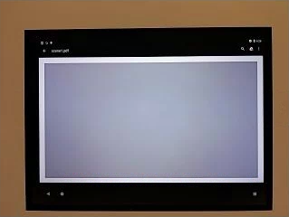 Exemplo de balanço de branco test_auto_vs_manual