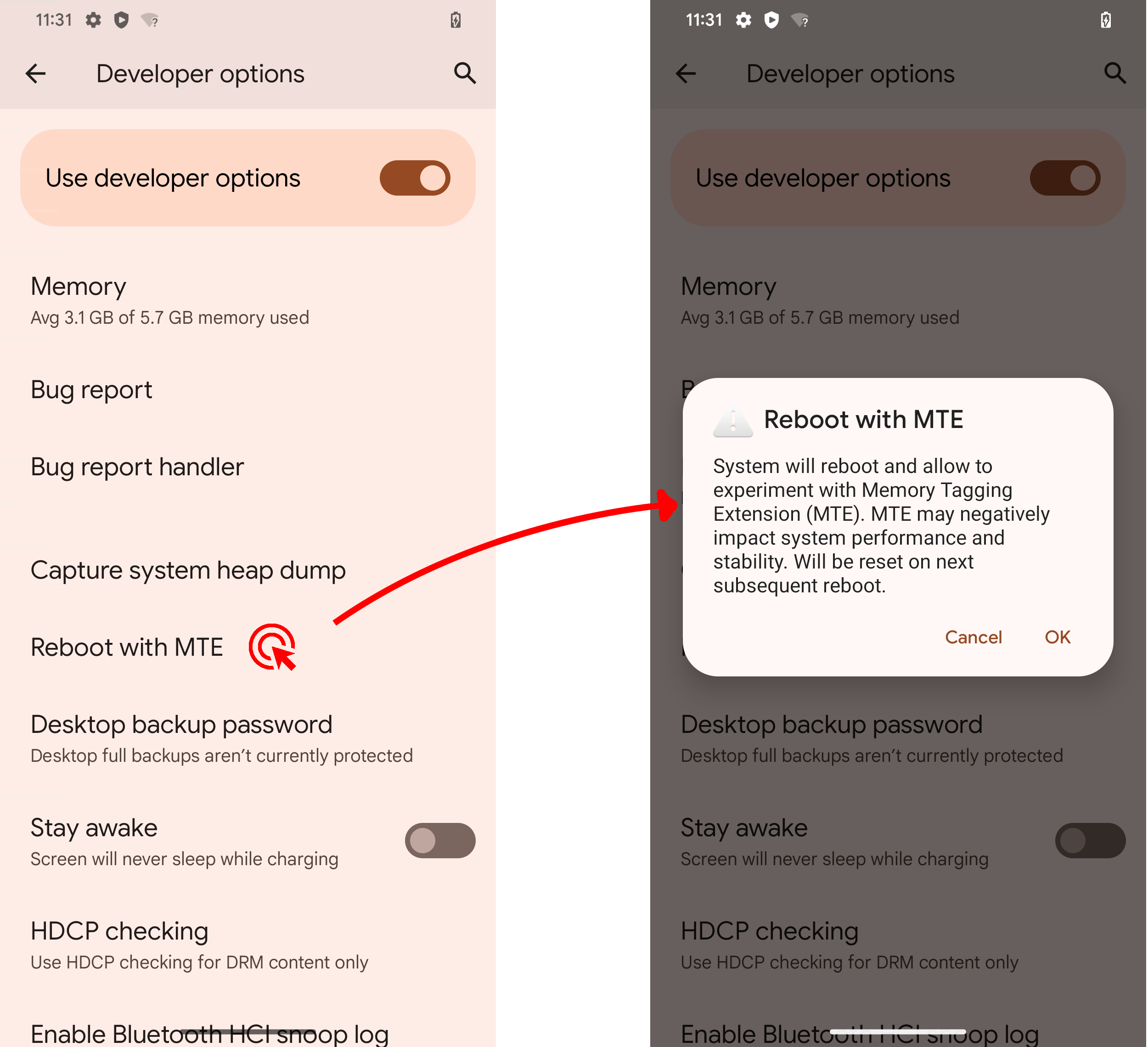 Option pour les développeurs MTE